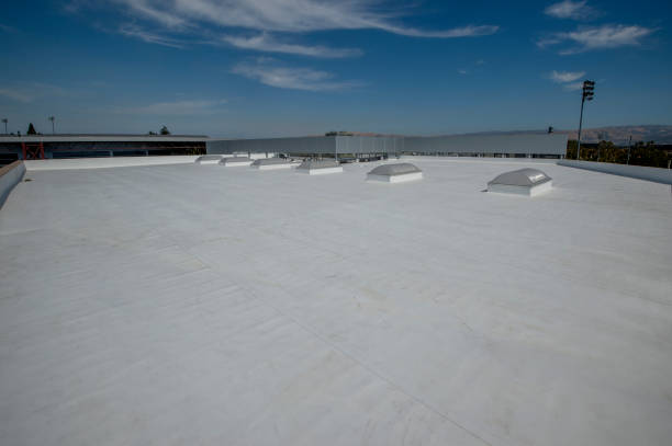 Best Roof Coating and Sealing  in Kalkaska, MI