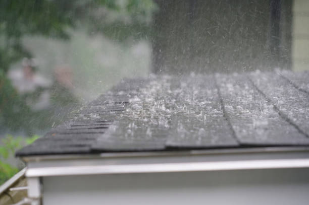 Best Roof Coating Services  in Kalkaska, MI