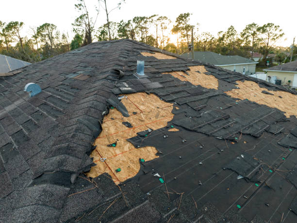 Best Metal Roofing Installation  in Kalkaska, MI