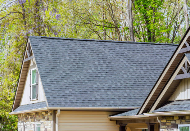 Best Asphalt Shingle Roofing  in Kalkaska, MI